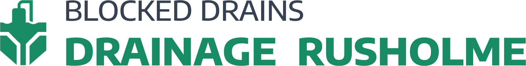 website logo